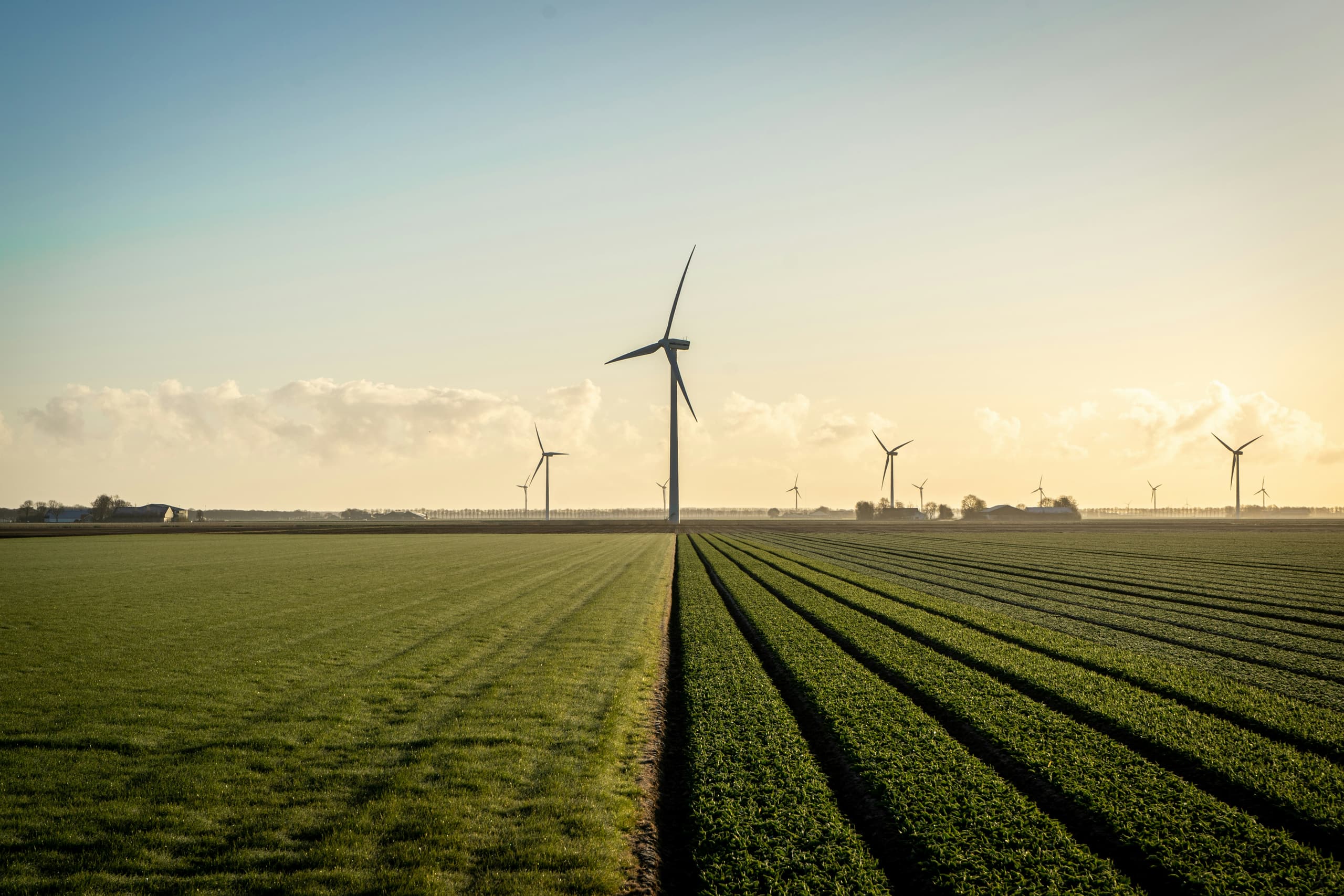 Aerogeneradores junto a un campo al atardecer